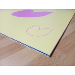Panneau Plastique alvéolaire